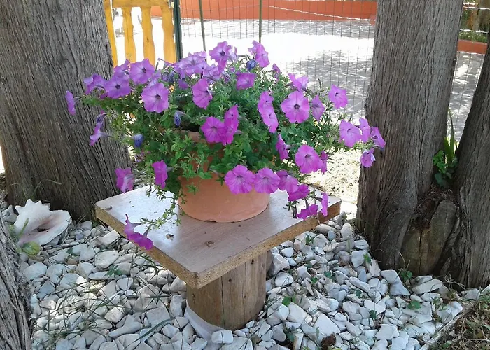 With Parking Space - 17633 Umag