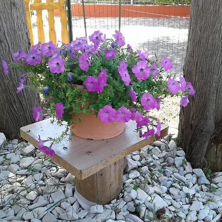 With Parking Space - 17633 Umag